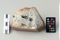 Foto von Coelestin (NHMW-MIN-Ac668)
